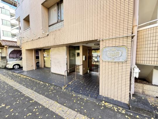 �����s�����q�s�������̒��Ã}���V�����̉摜