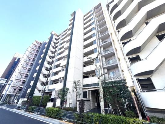 �����s�����搼�V��{��2���ڂ̒��Ã}���V�����̉摜